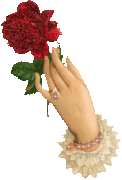 لمحبى الرومانسية لكم اجمل الورود 525403