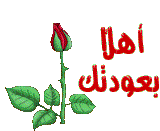 برنامج الفوتو شوب 8 الداعم اللغه العربيه كرمالك ياسهيله 760421